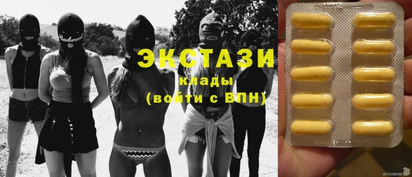 индика Чегем